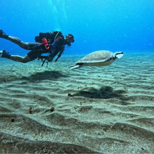 Bautismos de buceo